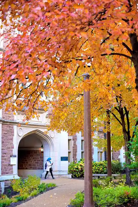 WashU Campus in Fall