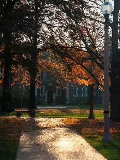 WashU Campus in Fall