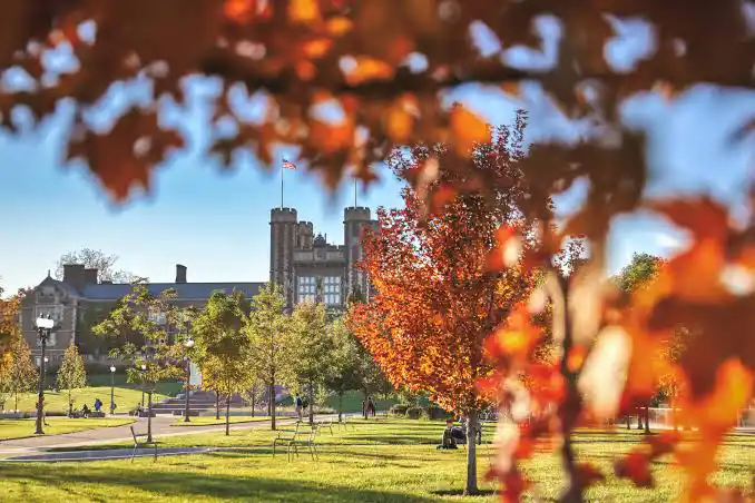 WashU Campus in Fall